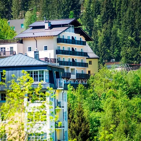 Apartment Splendid With Serene View Bad Gastein